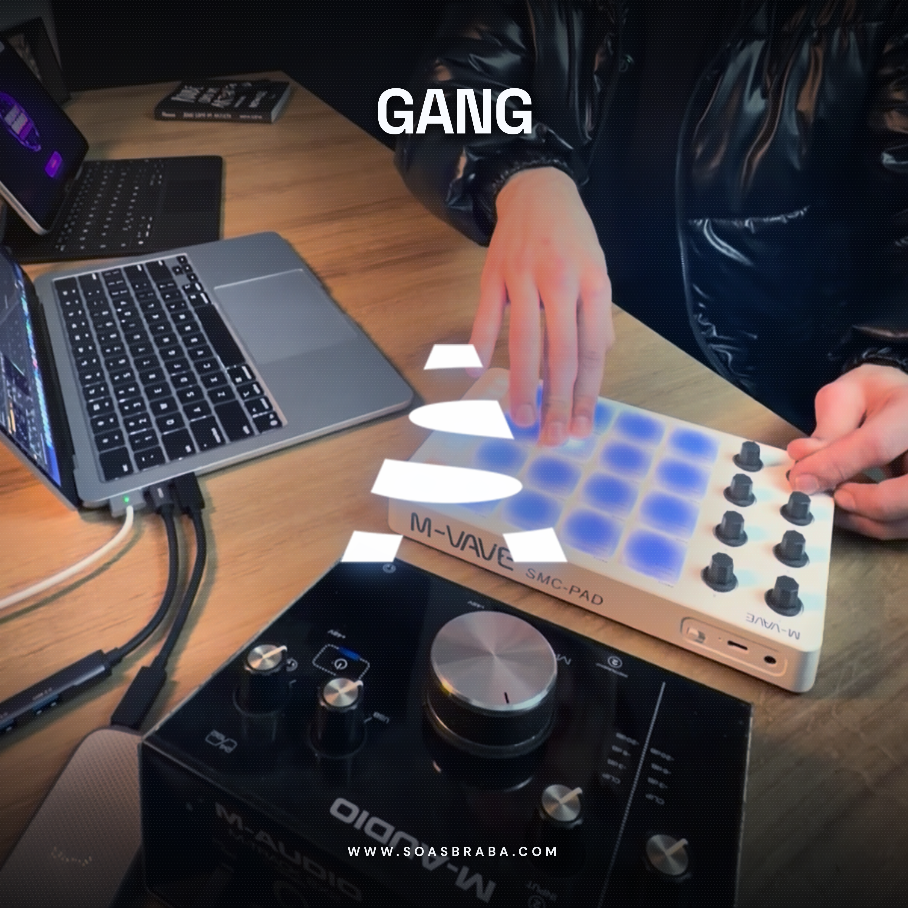 Capa de GANG